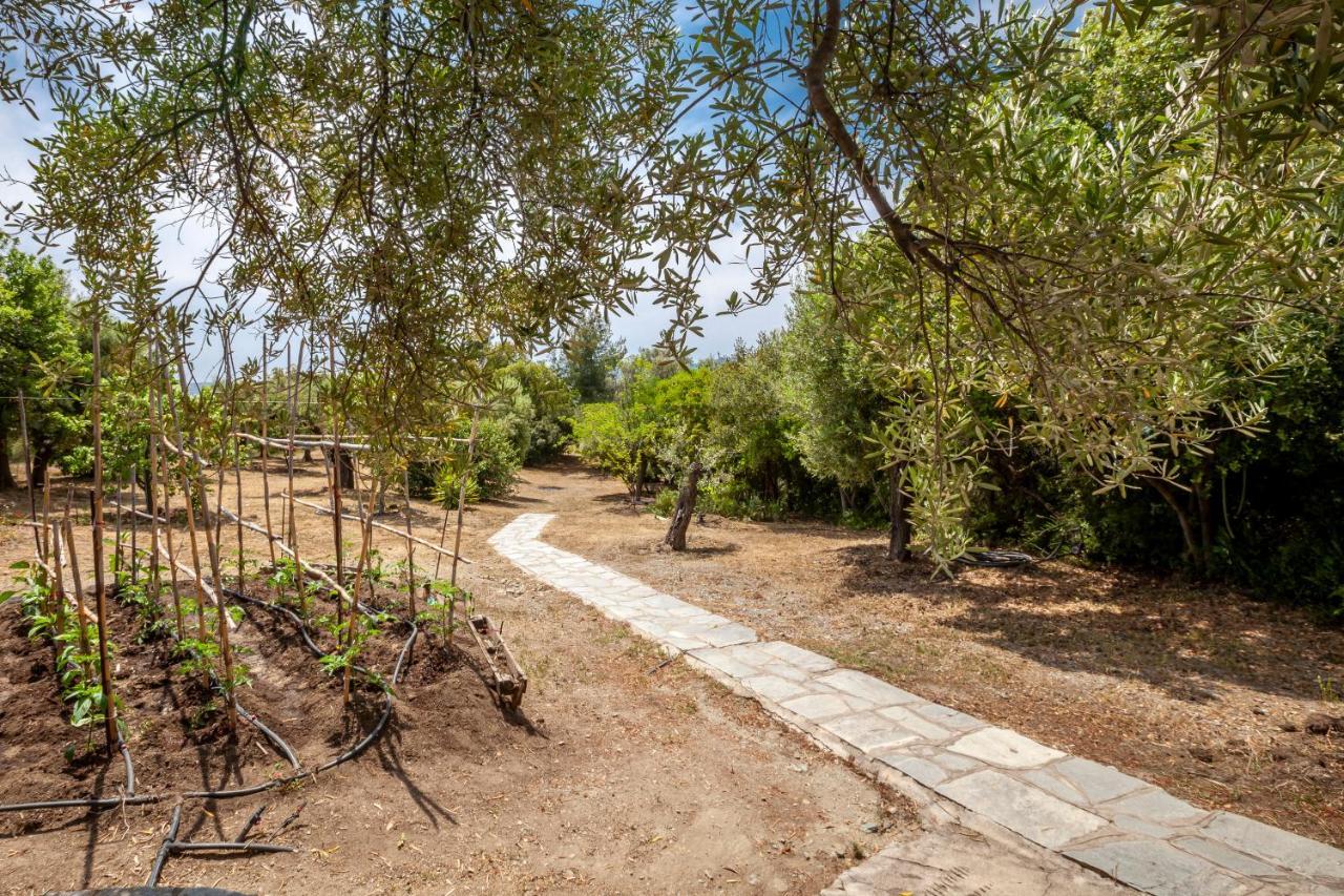 Hidden Gem Sithonia Villa Metochi Agias Kiriakis Buitenkant foto