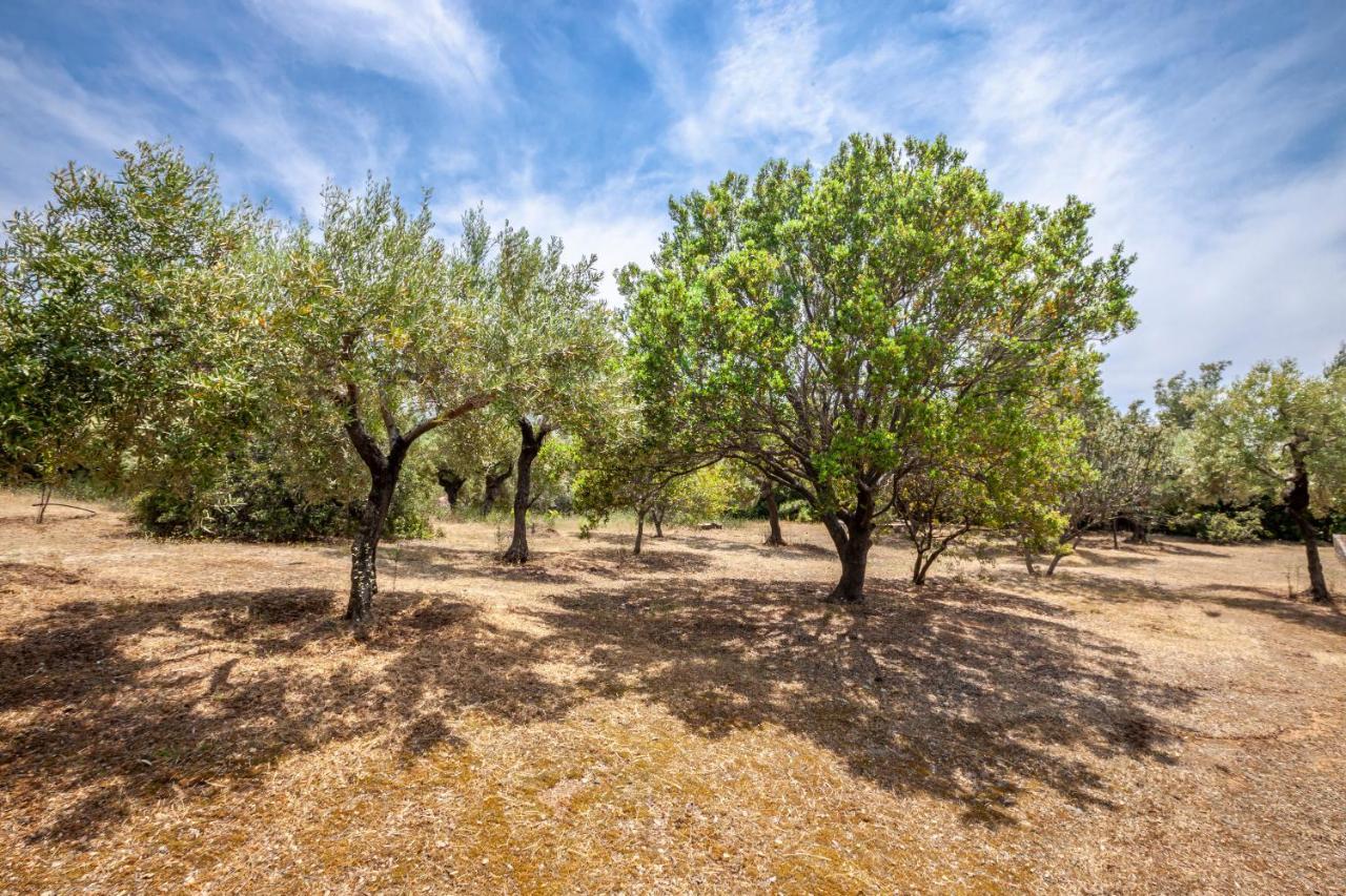 Hidden Gem Sithonia Villa Metochi Agias Kiriakis Buitenkant foto